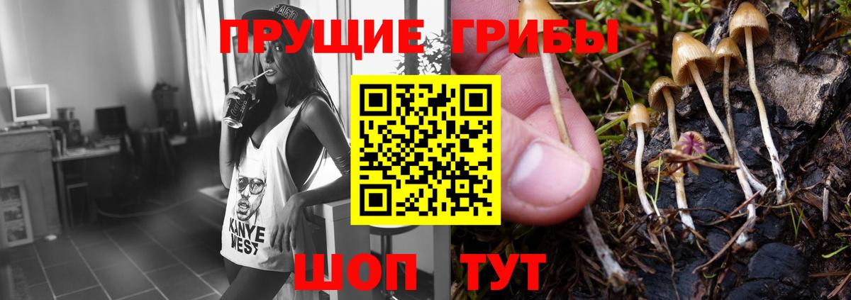 Нижний Новгород  где продают наркотики  Вход с VPN  Псилоцибиновые грибы мицелий 